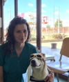 Dr. Daniela Tripa