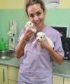 Dr. Amalia Cercel