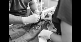 Chirurgie tesuturi moi